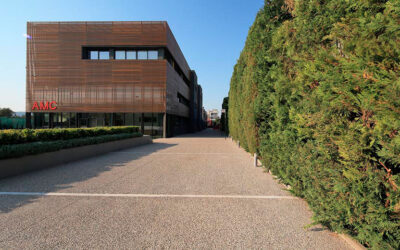 The Metropolitan College presents its International Summer Programme 2020