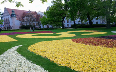 The Adam Mickiewicz University of Poznan organises the Challenges of Doctoral Education Meeting