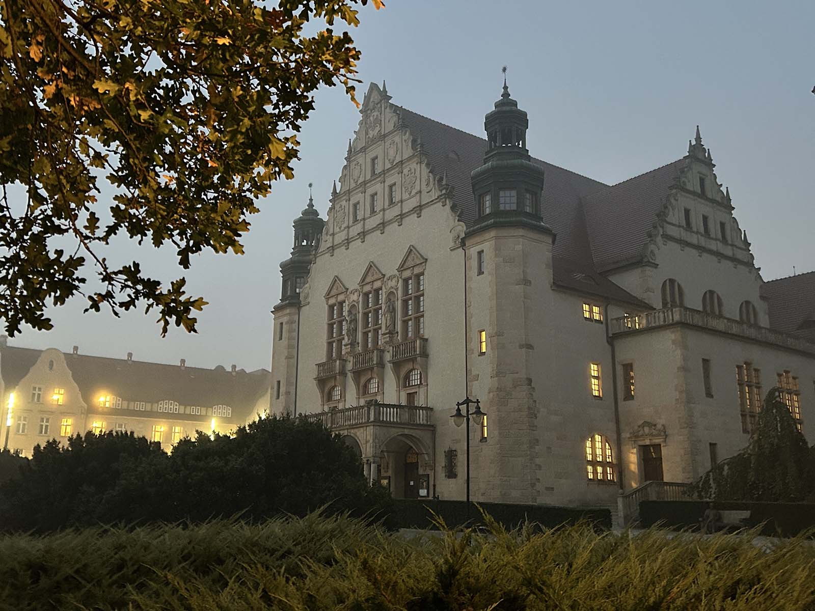 Logotipo de la Universidad de Seville. Logo of the University of Seville