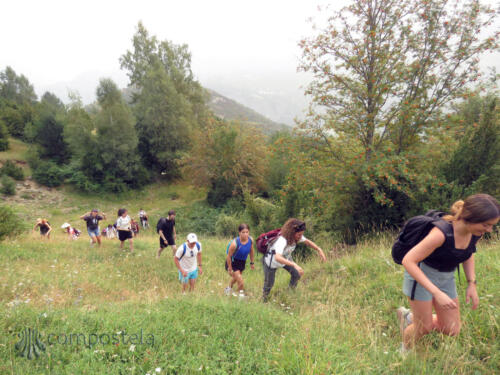 University-Walking-Community-2025-AMCS-1