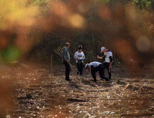 imagen-120 reforestacion