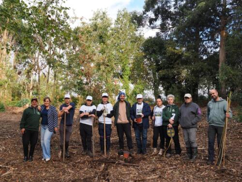 imagen-125 reforestacion
