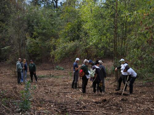 imagen-126 reforestacion