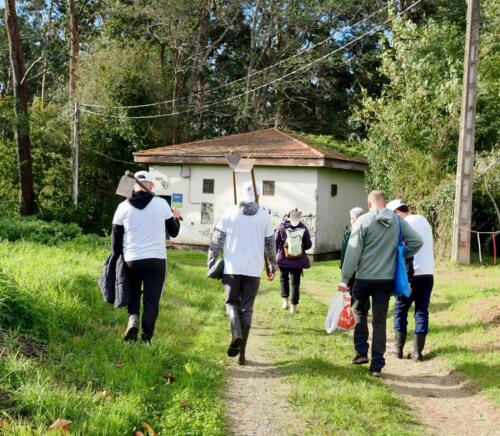 imagen-132 reforestacion