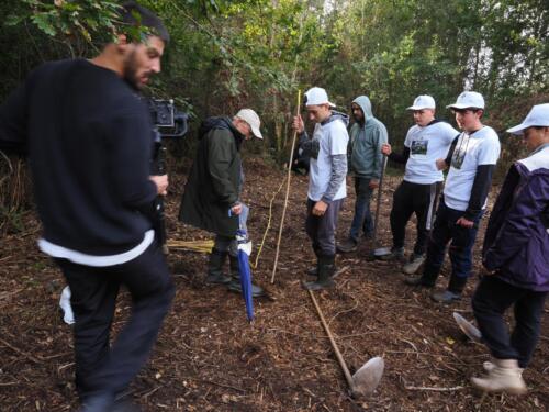 imagen-137 reforestacion