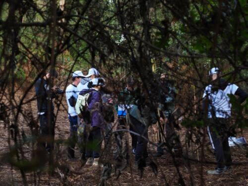 imagen-138 reforestacion