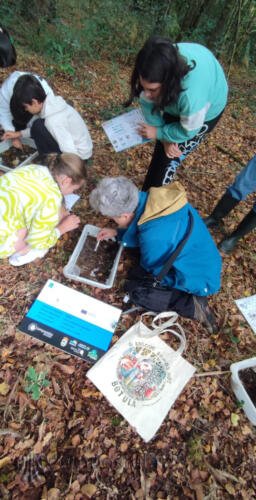 imagen-62 actividad-insercion-cip