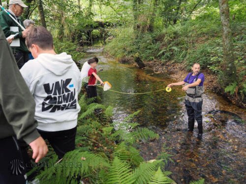 imagen-68 identificacion-flora-y-fauna